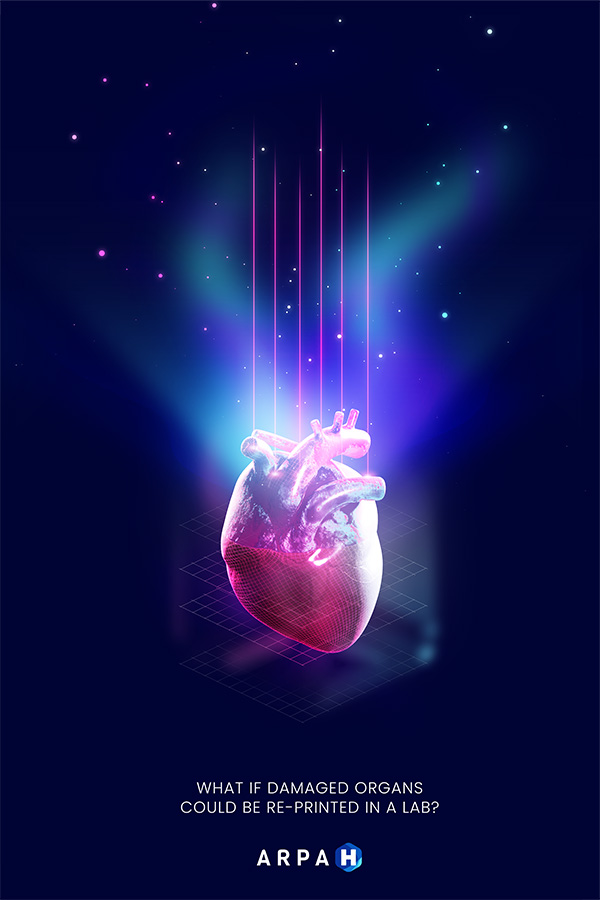 Heart poster thumbnail