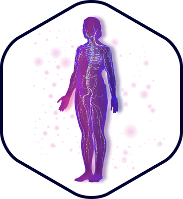 LIGHT signature image of a silhouetted body with glowing lymphatic system
